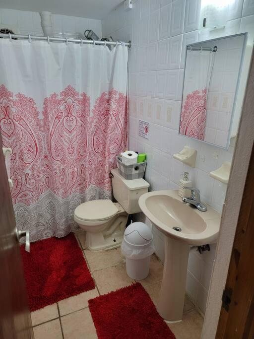 Cozy Apartment Near The Beach #1 Fajardo Bagian luar foto