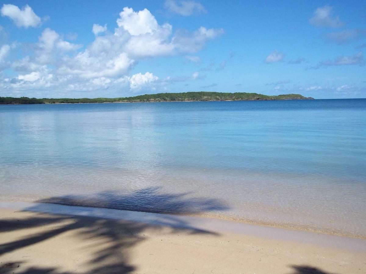 Cozy Apartment Near The Beach #1 Fajardo Bagian luar foto